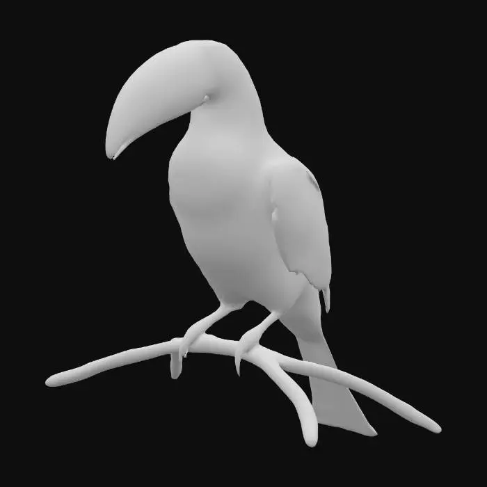 3D model for toucan