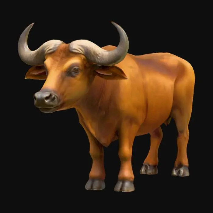 3D model for realistic water buffalo 