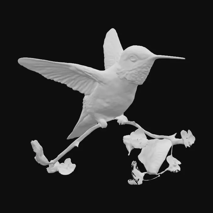 3D model for realistic humming bird