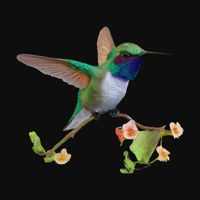 3D model for realistic humming bird