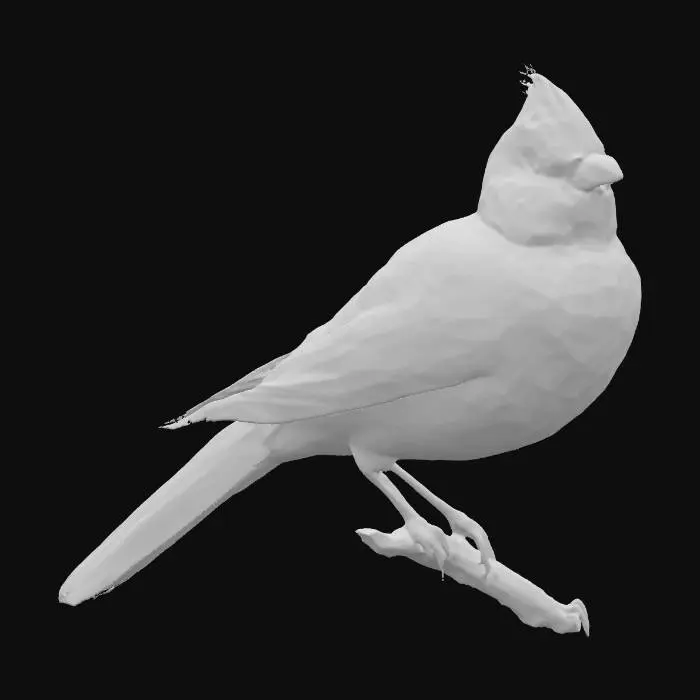 3D model for realistic cardinal
