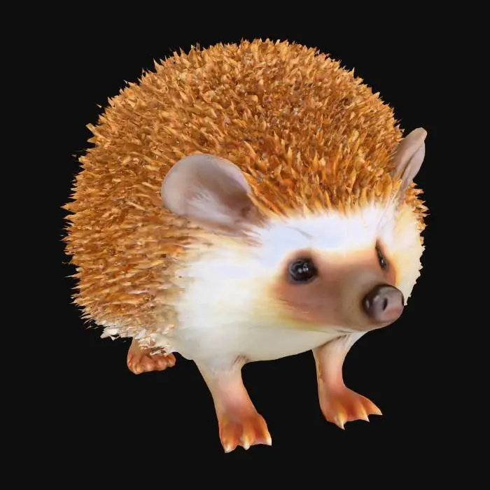 3D model for realistic hedgehog

