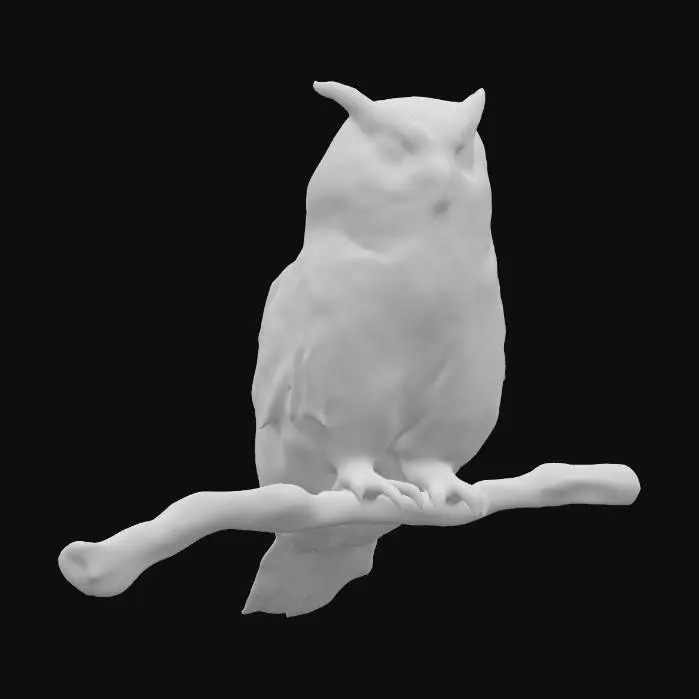 3D model for realistic owl
