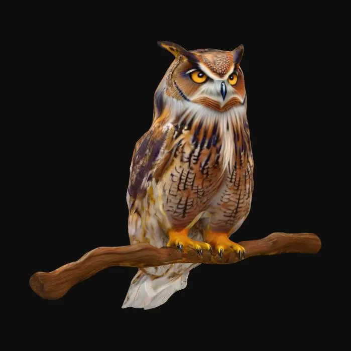 3D model for realistic owl
