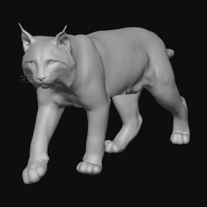 3D model for Lynx Stroll