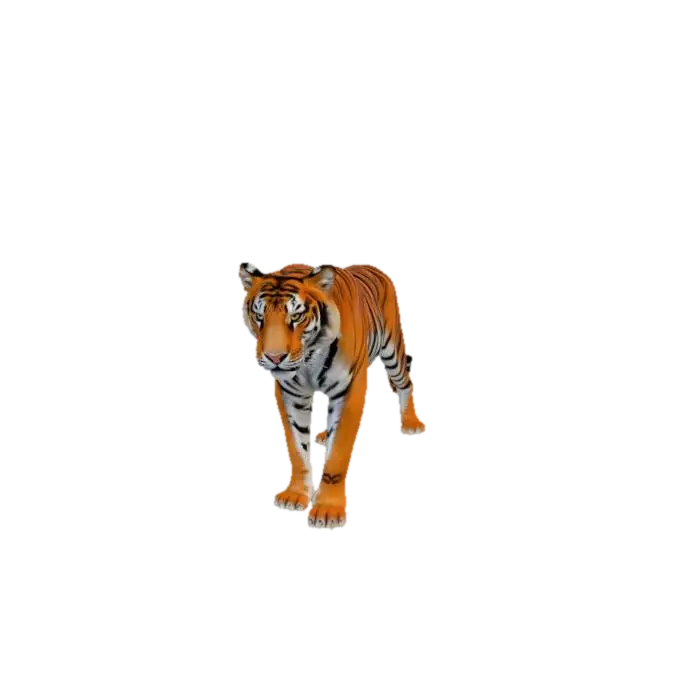 CRIE UM TIGRE DE BENGALA DE 250 KG FAÇA SUA MUSCULATURA,ÓRGÃOS E OSSOS PERFEITAMENTE… - Bengal 3D model, vytvořený pomocí AI