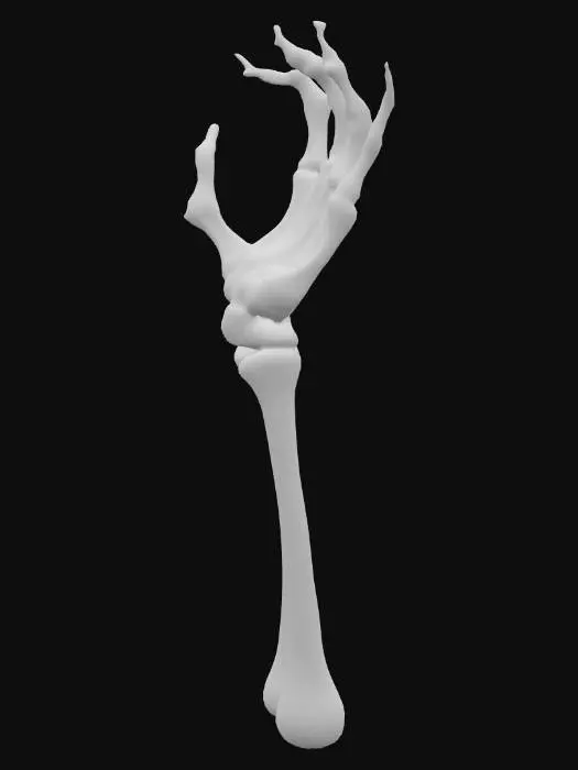 3D model for #PBR# squeleton hand triying to grab something, with long nails, full of rings open hand, palm up, only left hand, fingers with jewell rings, hand posing like its triying to grab something