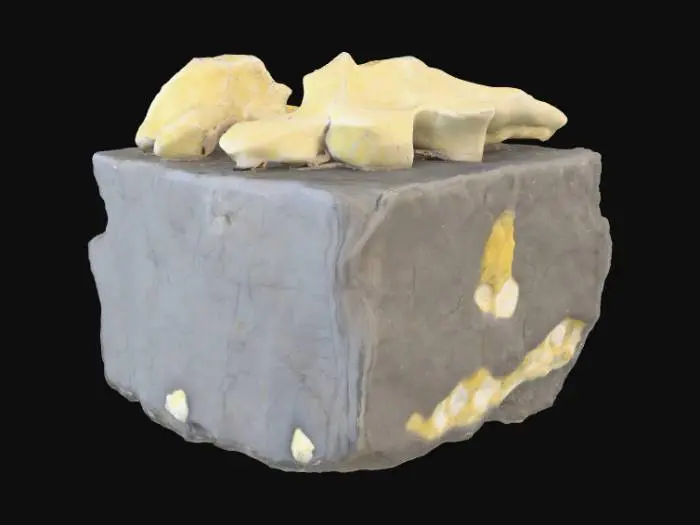 3D model for 3D model render of a stylized mineral asset, a cube of dark grey rock with large, white fossilized dinosaur bone fragments embedded and protruding from its surface, the bones are yellowed and ancient, stone and bone PBR textures, game-ready asset, cinematic studio lighting with a strong key light and soft rim light, centered, isolated on a solid black background, unreal engine render style, masterpiece --ar 1:1