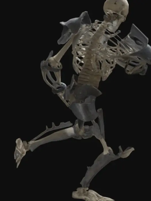 3D model for 全身武装盔甲的骷髅架子,头上没有头盔,手里没有武器