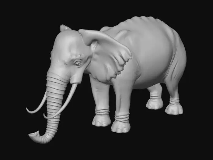 3D model for Elephant 3D Model Turnaround