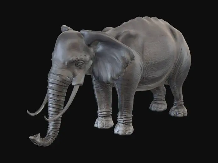 3D model for Elephant 3D Model Turnaround