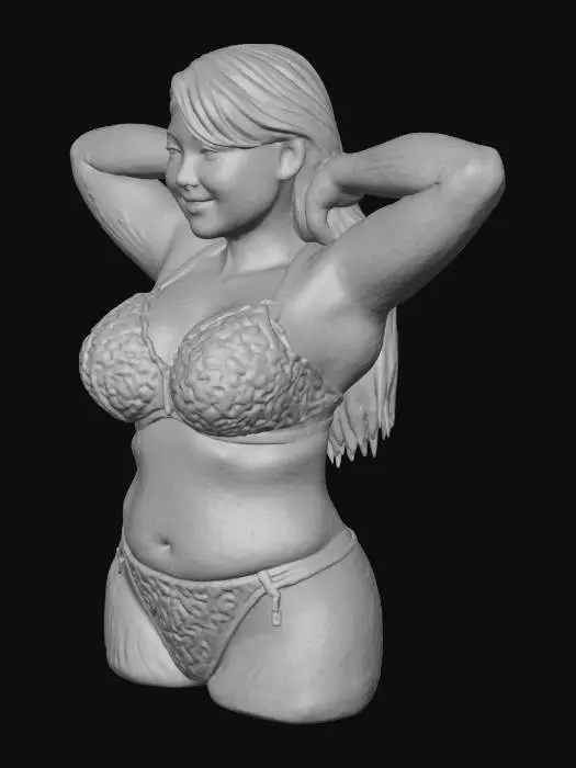 3D model for A plus size bra with melons in it