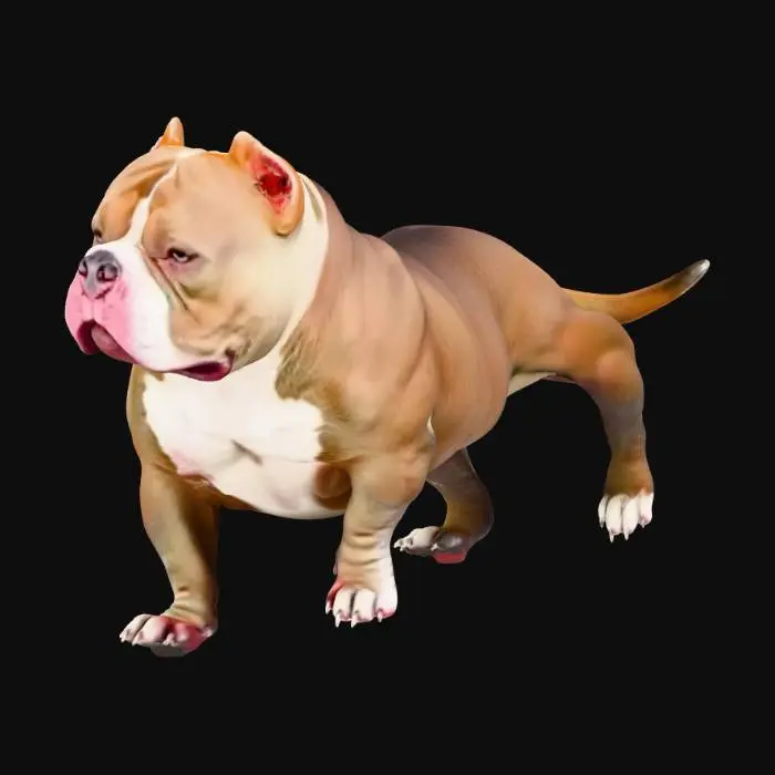 3D model for Bulldog Stance