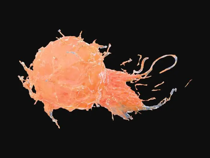 3D model for Airlace (Air Weave), composed of fine plastic threads and spider webs.
Its distinctive features include: a suspended net-like structure, shimmering linear textures, and a fluid floating effect. Colors: a high-saturation gradient from yellow to blue. Artistic style: surrealism, 3D rendering, psychedelic and vibrant, dreamy concept, integrating digital particles with cyberpunk lighting effects, emphasizing the flow of light and transparent texture. The background is black and deep to highlight the subject.