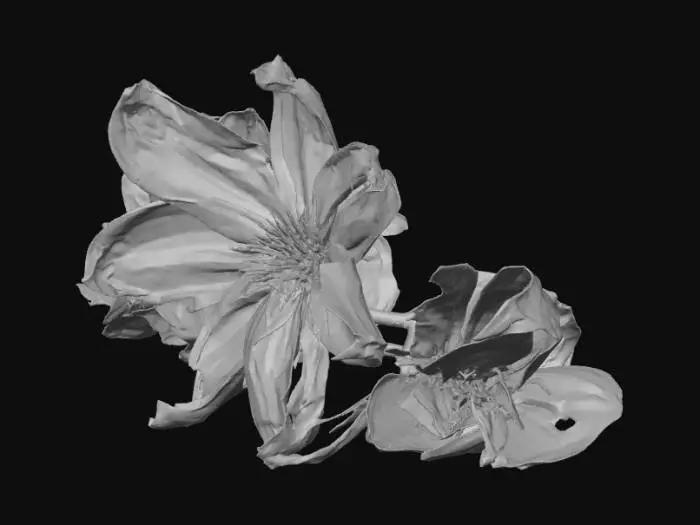 3D model for Chromatic Blossoms