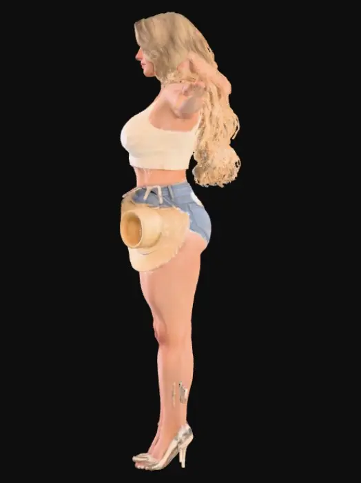 3D model for Swinging in the Sunlight