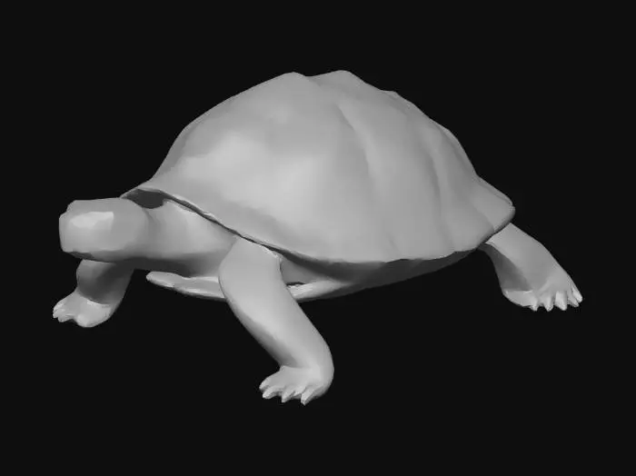 3D model for A redfoot tortoise