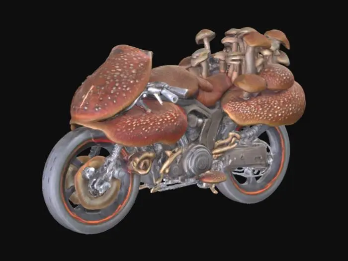 3D model for Sporocycle