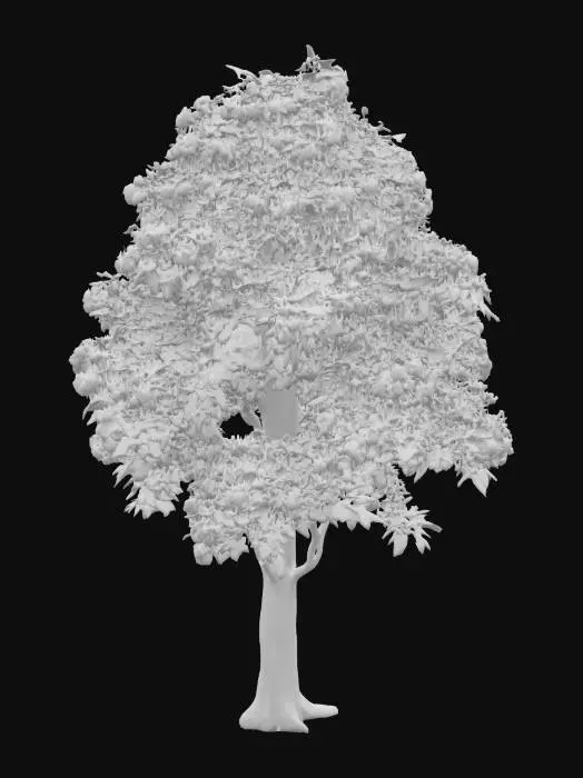 3D model for A realistic 3D model of a Flowering Ash, game-ready, clean topology, medium polycount, detailed bark and leaves, centered, no background.