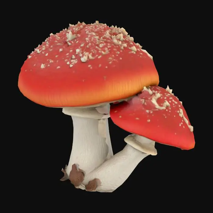 3D model for A realistic 3D model of a King Bolete mushroom, game-ready, clean topology, medium polycount, detailed cap and stem texture, natural red and white colors, centered, no background.