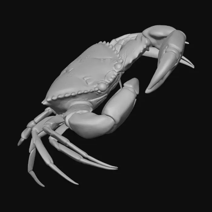 3D model for Crab Pose