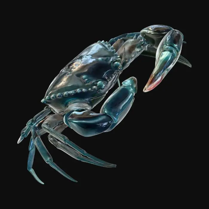 3D model for Crab Pose