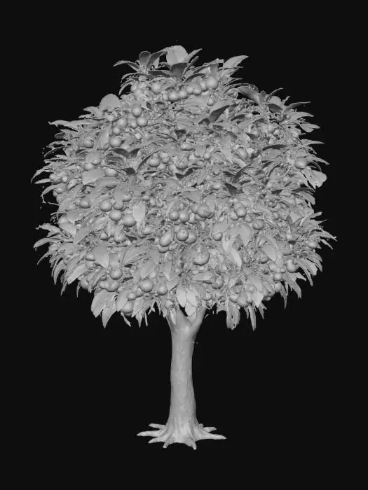 3D model for Orange Abundance