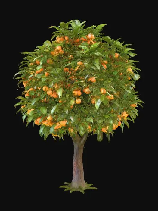 3D model for Orange Abundance