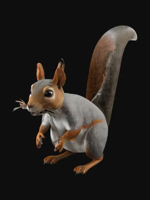 3D model for uno scoiattolo realistico pronto per il rigging