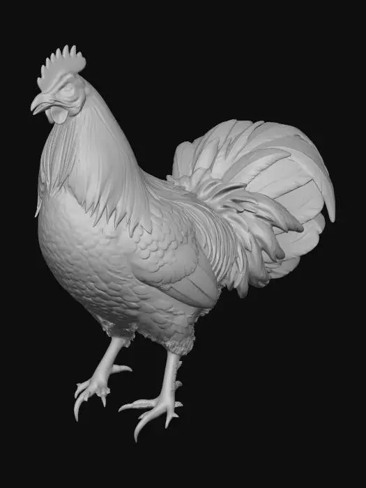3D model for Majestic Rooster