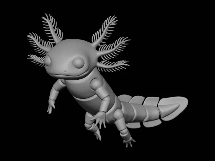 3D model for Axolotl met bewegende delen