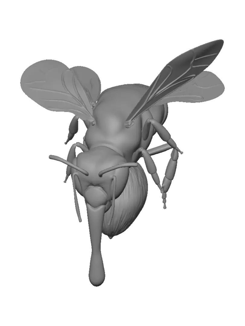 bee