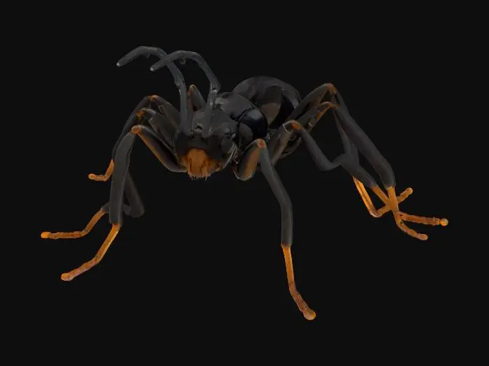3D model for A male ant with a rugged, segmented body, its exoskeleton a deep, matte charcoal black, absorbing light rather than reflecting it. The chitinous surface is finely granular, feeling subtly abrasive to the touch, with visible micro-texture on each distinct segment. Its antennae are stout and slightly knobbly, while the six sturdy legs are noticeably spiky, providing a tenacious grip, conveying a grounded, earthy resilience.