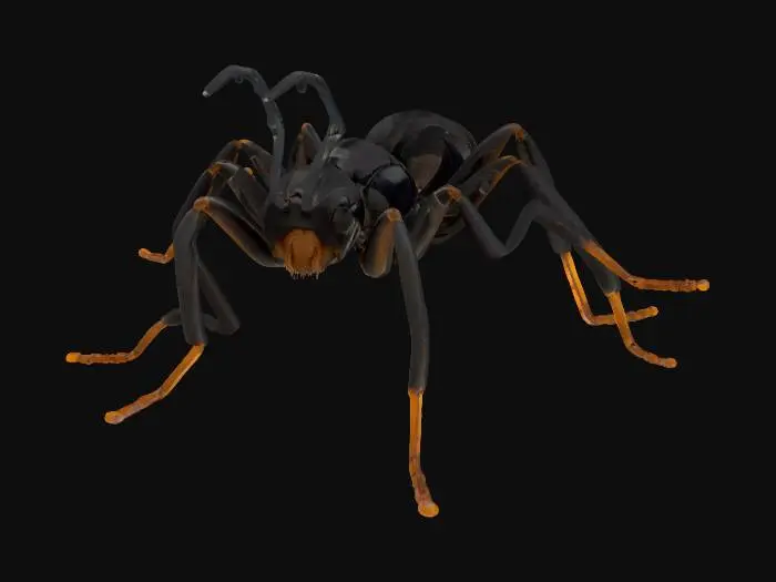 3D model for A male ant with a rugged, segmented body, its exoskeleton a deep, matte charcoal black, absorbing light rather than reflecting it. The chitinous surface is finely granular, feeling subtly abrasive to the touch, with visible micro-texture on each distinct segment. Its antennae are stout and slightly knobbly, while the six sturdy legs are noticeably spiky, providing a tenacious grip, conveying a grounded, earthy resilience.