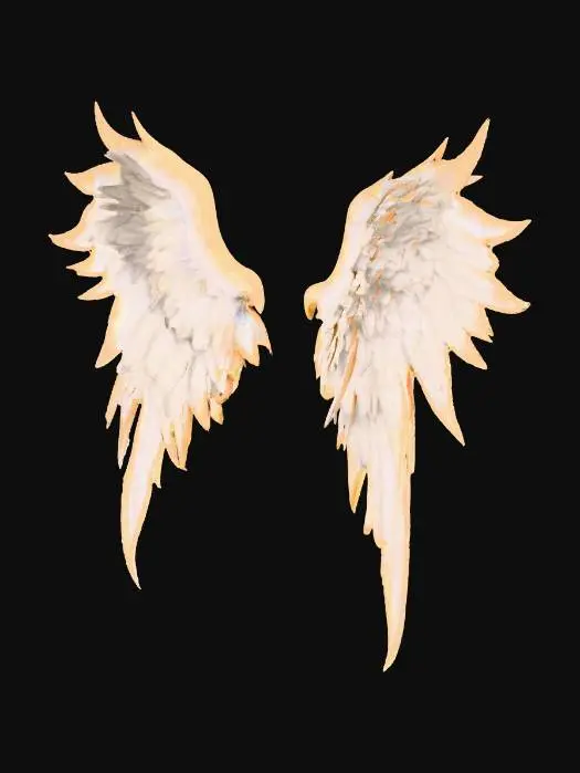 3D model for Angel Wings #no Characters#