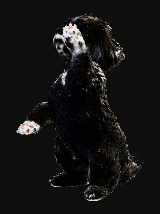 3D model for Paws Up