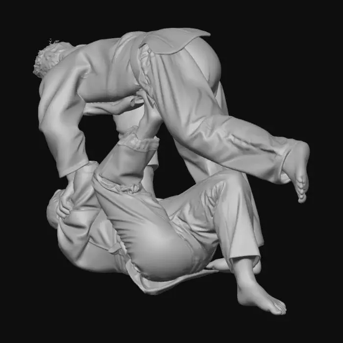 3D model for Judo Throw in Action