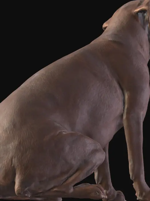 3D model for Chocolate Delight