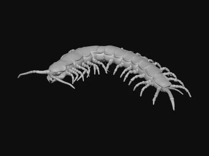3D model for Centipede Crawl, #Halloween2025#