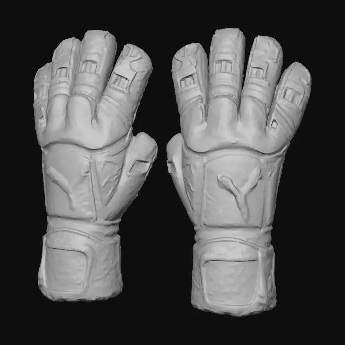 3D model for Goalkeeper's Grip