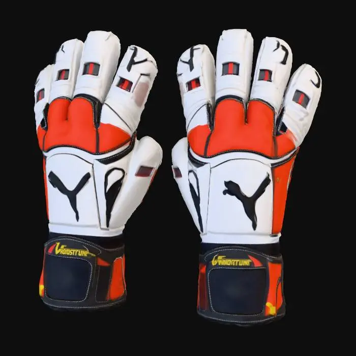 3D model for Goalkeeper's Grip