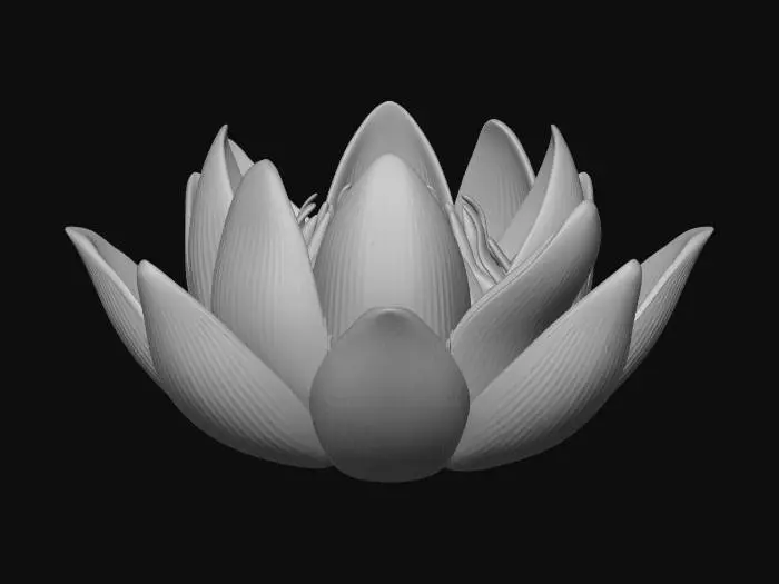 3D model for Lotus Blossom Harmony