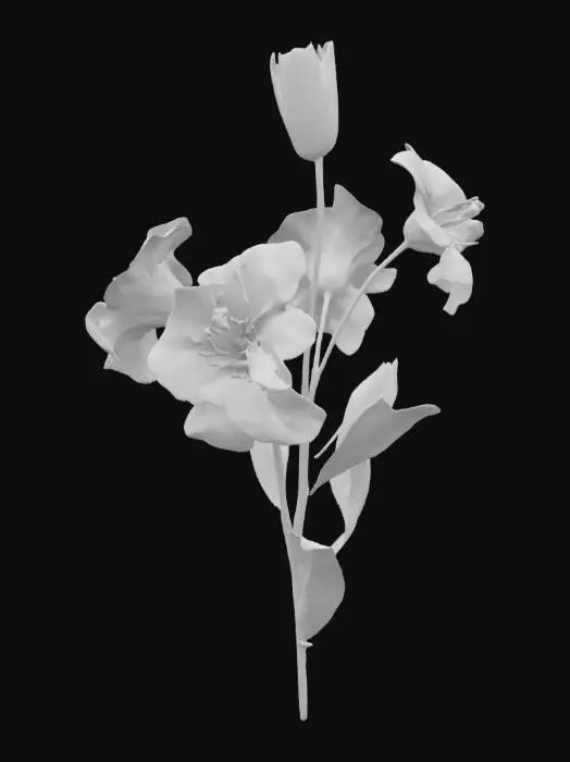 3D model for White Lilies