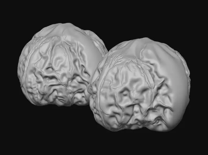 3D model for Lion Head Walnut