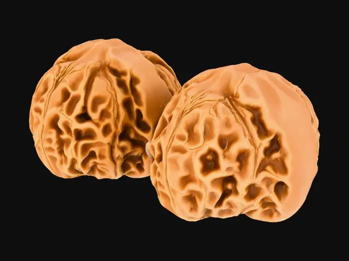 3D model for Lion Head Walnut