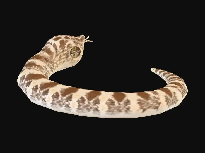 3D model for 猪鼻蛇6-1