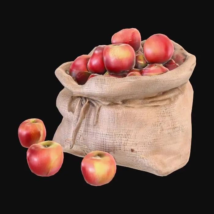 3D model for Bag of Apples