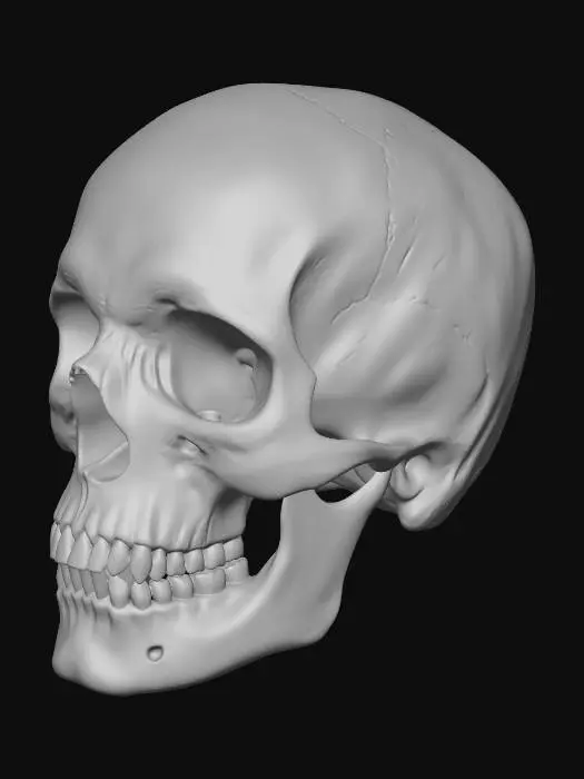 3D model for Ancient Cracked Skull