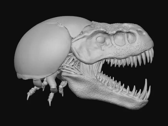 3D model for Lady-Rex