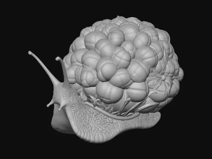 3D model for Berry Slow